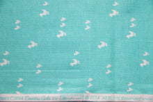 Load image into Gallery viewer, Country Girls Country Ducks in Aqua, Tasha Noel, C6444 Aqua