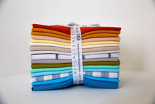Load image into Gallery viewer, Harriot Coordinates Fat Quarter Bundle, 16 Pieces, Carolyn Friedlander, FQ-1507-16
