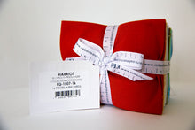 Load image into Gallery viewer, Harriot Coordinates Fat Quarter Bundle, 16 Pieces, Carolyn Friedlander, FQ-1507-16