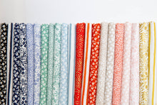 Load image into Gallery viewer, Rifle Paper Basics Bundle, 21 Pieces, Rifle Paper Co., RP500