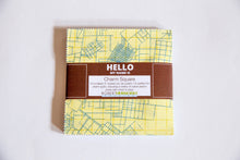 Load image into Gallery viewer, Collection CF Charm Squares, Carolyn Friedlander, CHS-854-42