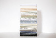 Load image into Gallery viewer, Grayscale Feathers Bundle, 24 Pieces, Alison Glass Feathers Quilt Along Bundle