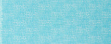 Load image into Gallery viewer, Harriot Screen Single Border in Aqua, Carolyn Friedlander, AFR-18201-70 AQUA