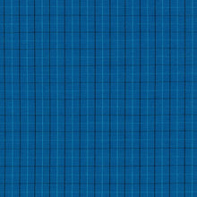 Load image into Gallery viewer, Harriot Thin Check Yarn Dyed in Blue, Carolyn Friedlander, AFR-18109-4 BLUE