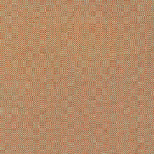 Load image into Gallery viewer, Harriot Thick Woven Yarn Dyed in Spice, Carolyn Friedlander, AFR-18110-163 SPICE