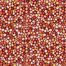 Load image into Gallery viewer, Wild and Free Bundle, 14 Pieces, Loes Van Oosten, LV600