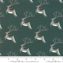 Load image into Gallery viewer, Northern Light Oh Deer! in Pine, Annie Brady, 16731 19

