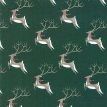 Load image into Gallery viewer, Northern Light Oh Deer! in Pine, Annie Brady, 16731 19
