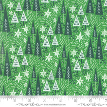 Load image into Gallery viewer, Northern Light Winter Night in Holly, Annie Brady, 16732 18