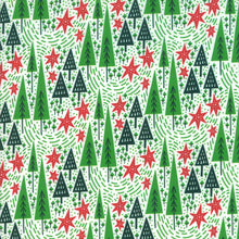 Load image into Gallery viewer, Northern Light Winter Night in Snow, Annie Brady, 16732 11