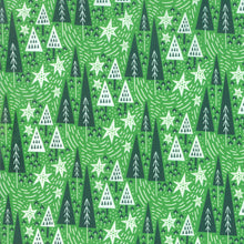 Load image into Gallery viewer, Northern Light Winter Night in Holly, Annie Brady, 16732 18