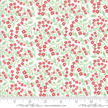 Load image into Gallery viewer, Northern Light Vine in Snow, Annie Brady, 16733 11