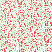 Load image into Gallery viewer, Northern Light Vine in Snow, Annie Brady, 16733 11