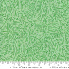 Load image into Gallery viewer, Northern Light Branches in Spruce, Annie Brady, 16734 17