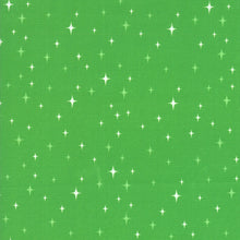 Load image into Gallery viewer, Northern Light Glitter in Holly, Annie Brady, 16735 17