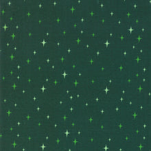 Load image into Gallery viewer, Northern Light Glitter in Pine, Annie Brady, 16735 19

