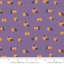 Load image into Gallery viewer, Ghouls and Goodies Cat O'Lantern in WItches Brew, Stacy Iest Hsu, 20684 17