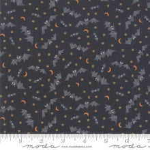 Load image into Gallery viewer, Ghouls and Goodies Gone Batty in Licorice, Stacy Iest Hsu, 20686 12