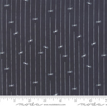Load image into Gallery viewer, Ghouls and Goodies Spider Stripe in Licorice, Stacy Iest Hsu, 20688 12