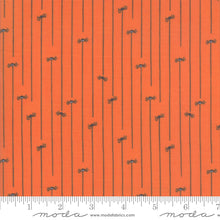Load image into Gallery viewer, Ghouls and Goodies Spider Stripe in Pumpkin, Stacy Iest Hsu, 20688 20