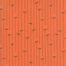 Load image into Gallery viewer, Ghouls and Goodies Spider Stripe in Pumpkin, Stacy Iest Hsu, 20688 20
