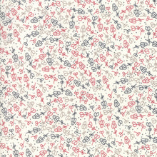 Load image into Gallery viewer, Print Shop Camera Ready in Multi, Sweetwater, Moda Fabrics, 5747 14