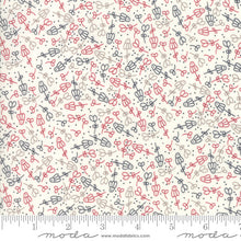 Load image into Gallery viewer, Print Shop Camera Ready in Multi, Sweetwater, Moda Fabrics, 5747 14