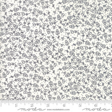 Load image into Gallery viewer, Print Shop Camera Ready in Cream and Black, Sweetwater, Moda Fabrics, 5747 23