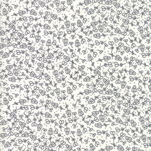 Load image into Gallery viewer, Print Shop Camera Ready in Cream and Black, Sweetwater, Moda Fabrics, 5747 23