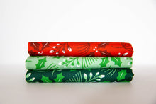 Load image into Gallery viewer, Northern Light Jelly Roll, Annie Brady, 16730JR