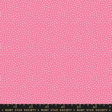 Load image into Gallery viewer, Florida Sand Dots Bundle, 5 Pieces, Sarah Watts, RS2061