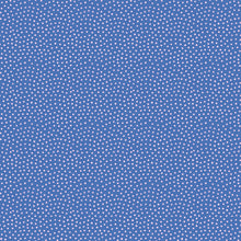 Load image into Gallery viewer, Florida Sand Dots in Twilight, Sarah Watts, RS2061-15