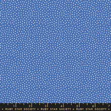 Load image into Gallery viewer, Florida Sand Dots in Twilight, Sarah Watts, RS2061-15