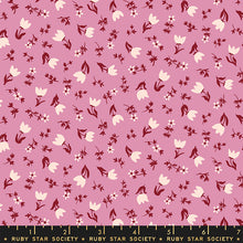 Load image into Gallery viewer, Smol Tulip Calico in Orchid, Kimberly Kight, Ruby Star Society, RS3017-12