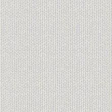 Load image into Gallery viewer, Smol Tweed in Dove, Kimberly Kight, Ruby Star Society, RS3019-11