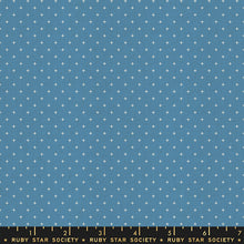 Load image into Gallery viewer, Add it Up in Chambray, Alexia Abegg, Ruby Star Society, RS4005 47