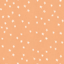 Load image into Gallery viewer, Starry in Warm Peach, Alexia Marcelle Abegg, Ruby Star Society, RS4006-17