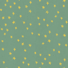 Load image into Gallery viewer, Starry in Soft Aqua, Alexia Marcelle Abegg, Ruby Star Society, RS4006-24
