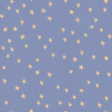 Load image into Gallery viewer, Starry in Dusk, Alexia Marcelle Abegg, Ruby Star Society, RS4006-25
