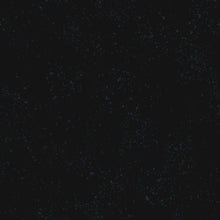 Load image into Gallery viewer, Speckled in Onyx, Rashida Coleman-Hale, Ruby Star Society, RS5027-102