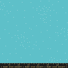 Load image into Gallery viewer, Sugar in Turquoise, Sarah Watts, RS5069-17