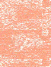 Load image into Gallery viewer, Catitude Moonscape in Coral, Dear Stella Designs, Stella-1150 Coral