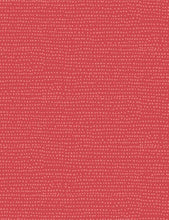 Load image into Gallery viewer, Catitude Moonscape in Poppy, Dear Stella Designs, Stella-1150 Poppy