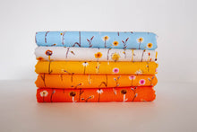 Load image into Gallery viewer, Far Far Away 3 Complete Collection Bundle, 23 Pieces, Heather Ross, 52750