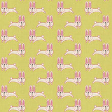 Load image into Gallery viewer, Mori No Tomodachi Usagi Chan Bundle, 2 Pieces, Hitomi Osumi, HO104