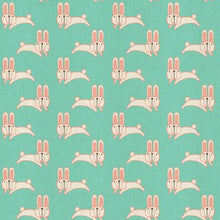 Load image into Gallery viewer, Mori No Tomodachi Usagi Chan Bundle, 2 Pieces, Hitomi Osumi, HO104