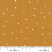 Load image into Gallery viewer, Spark in Butterscotch, Melody Miller, Ruby Star Society, Moda Fabrics, 100% Cotton Fabric, RS0005 15