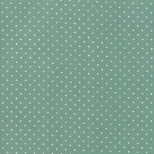 Load image into Gallery viewer, Add it Up in Soft Aqua, Alexia Abegg, Ruby Star Society, Moda Fabrics, 100% Cotton Fabric, RS4005 33