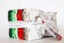 Load image into Gallery viewer, Northern Light Precut Fat Eighth Bundle, Annie Brady, 16730F8