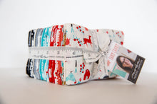 Load image into Gallery viewer, Farm Charm Precut Fat Eighth Bundle, Gingiber, 48290F8